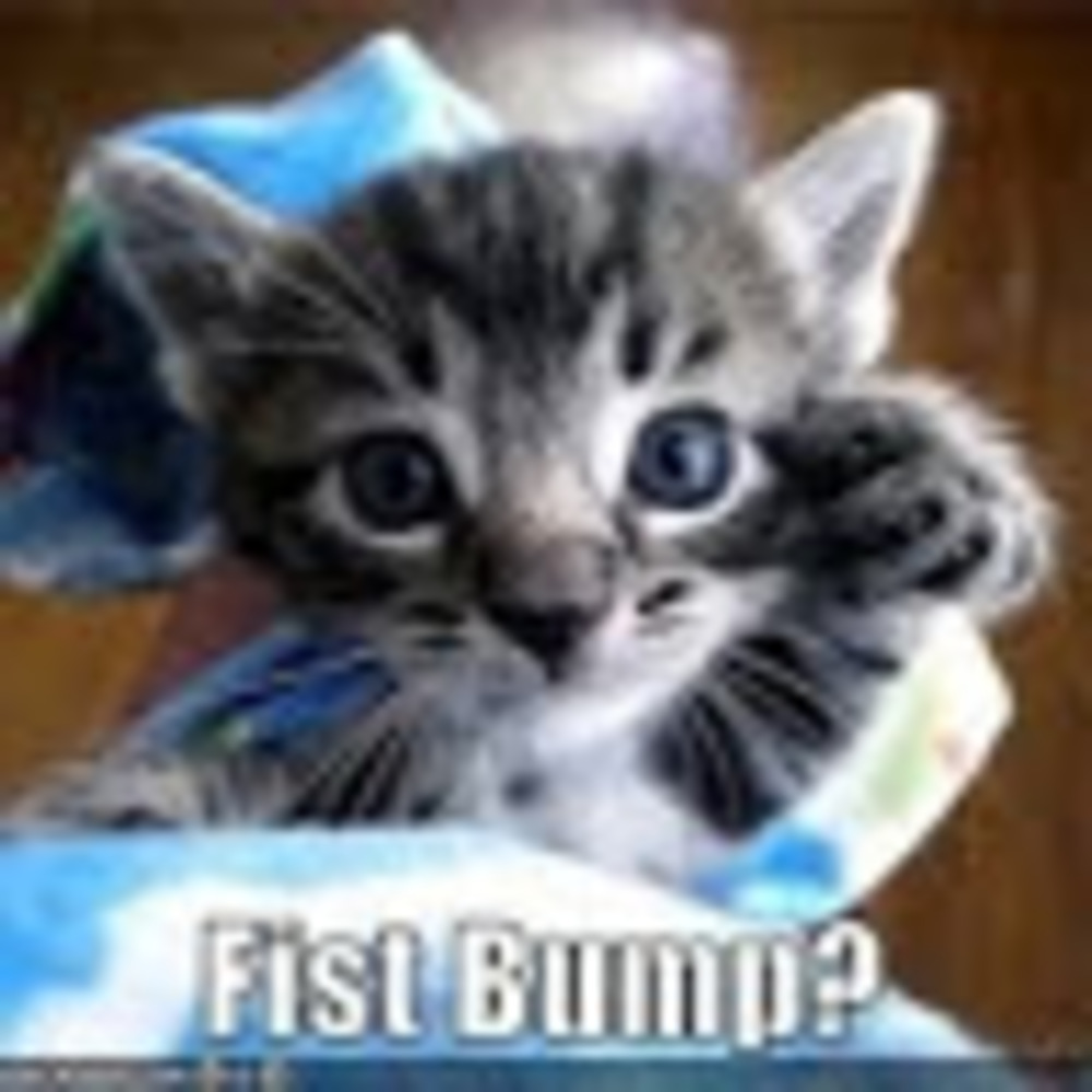 Meet your Posher, Josh